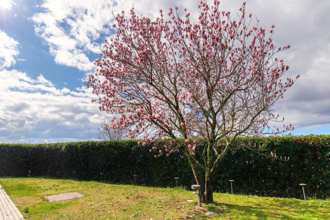 Villa Cassia Di Baccano San Giustino Valdarno Bagian luar foto